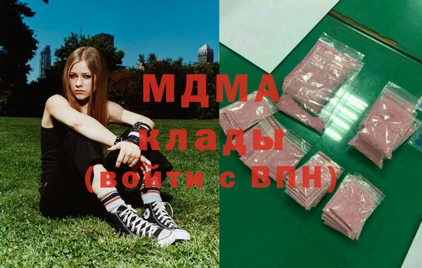 индика Медногорск
