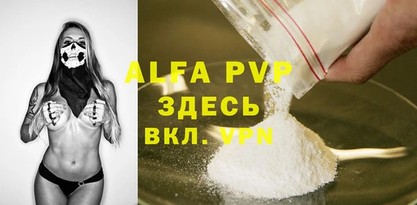 индика Медногорск