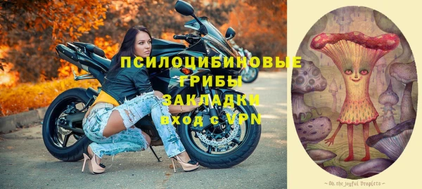 прущие крисы Мегион