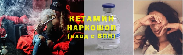 индика Медногорск