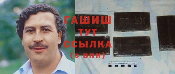 индика Медногорск