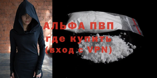 индика Медногорск