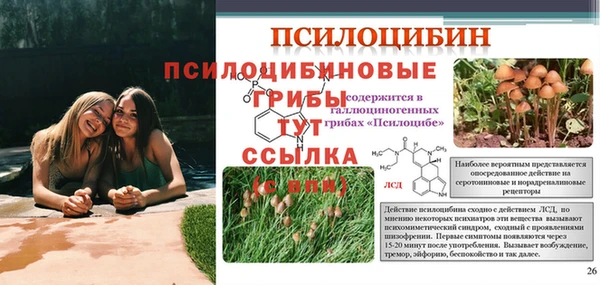 MDMA Магадан