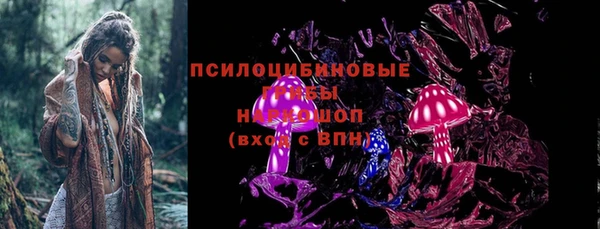 прущие крисы Мегион