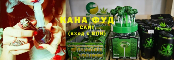 индика Медногорск